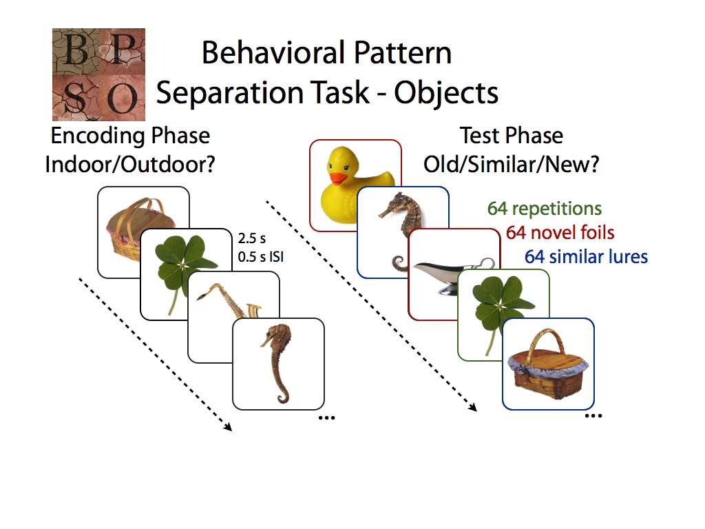 Task object. An imposed pattern of Behavior.