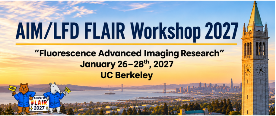 FLAIR 2027 Workshop
