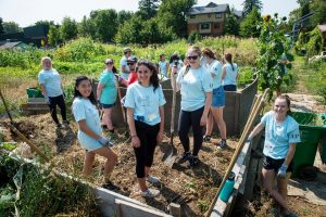 Service Plunge 2018 image at Village Gardens Seeds of Harmony Community Orchard