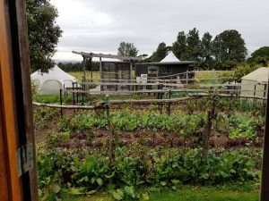 Picture of garden by one of the houses
